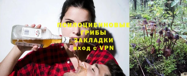 прущая мука Белокуриха