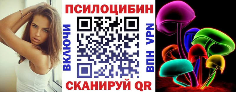 Купить где Бабушкин Псилоцибиновые грибы Psilocybine cubensis